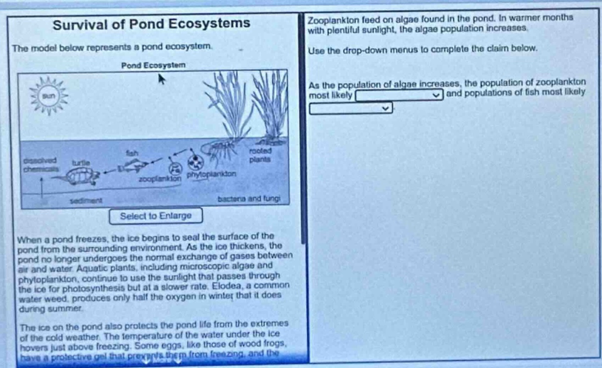 survival of pond ecosystems the model below represents a pond ecosystem…