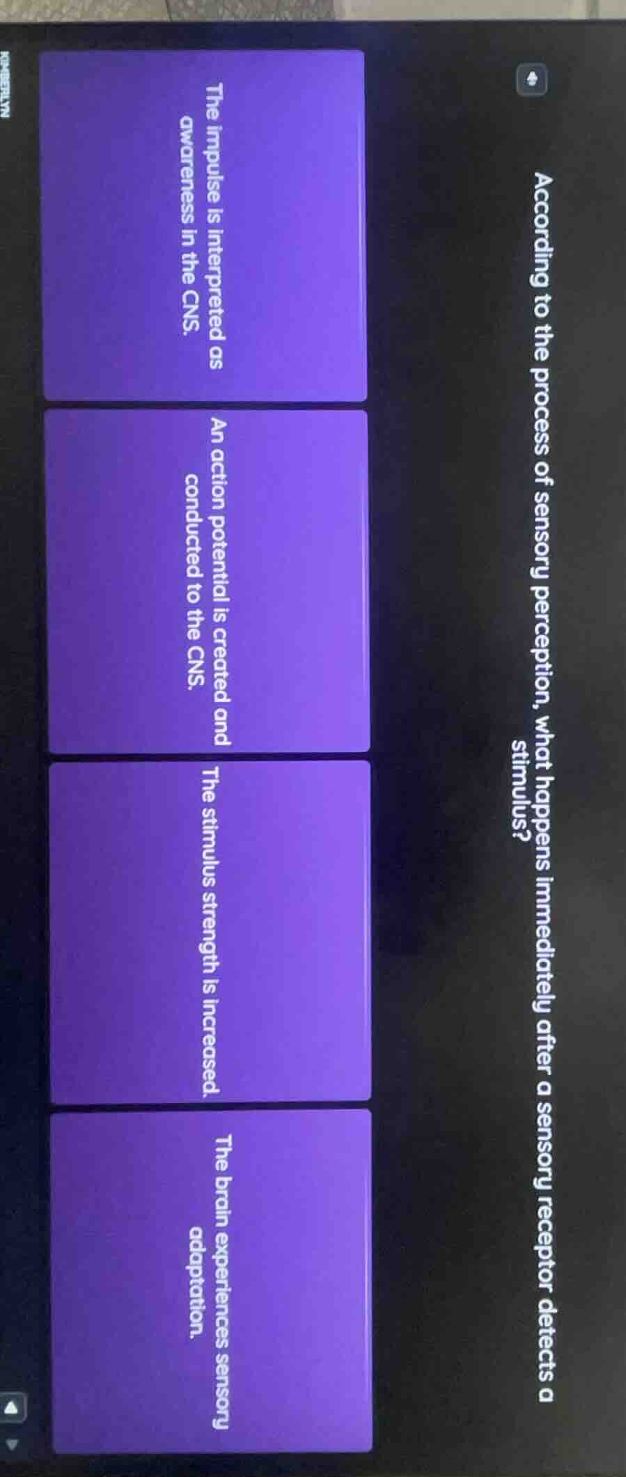 according to the process of sensory perception, what happens immediatel…