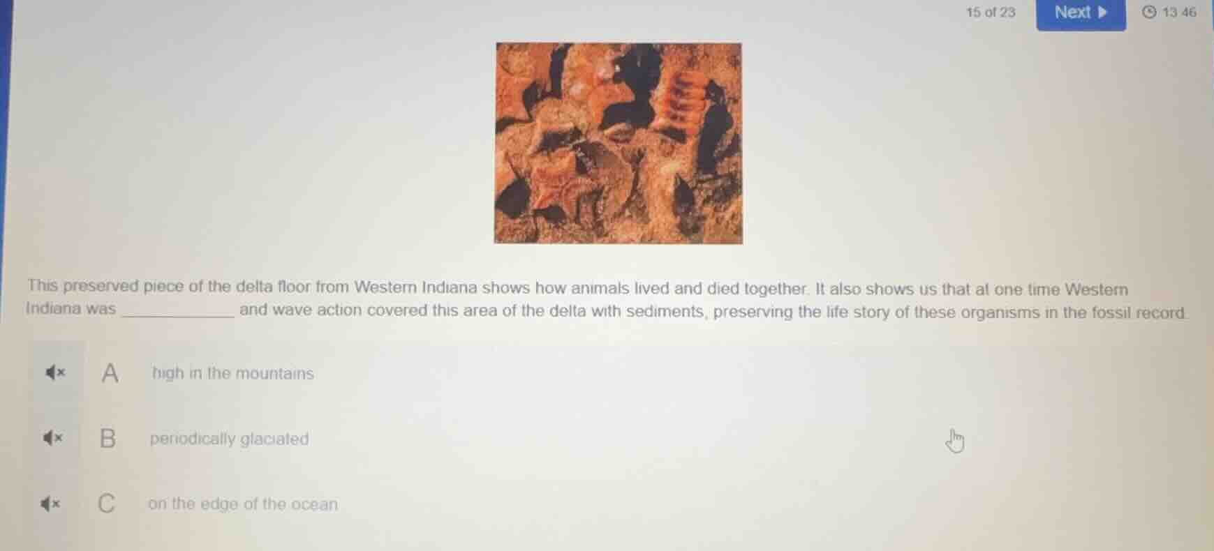 this preserved piece of the delta floor from western indiana shows how …