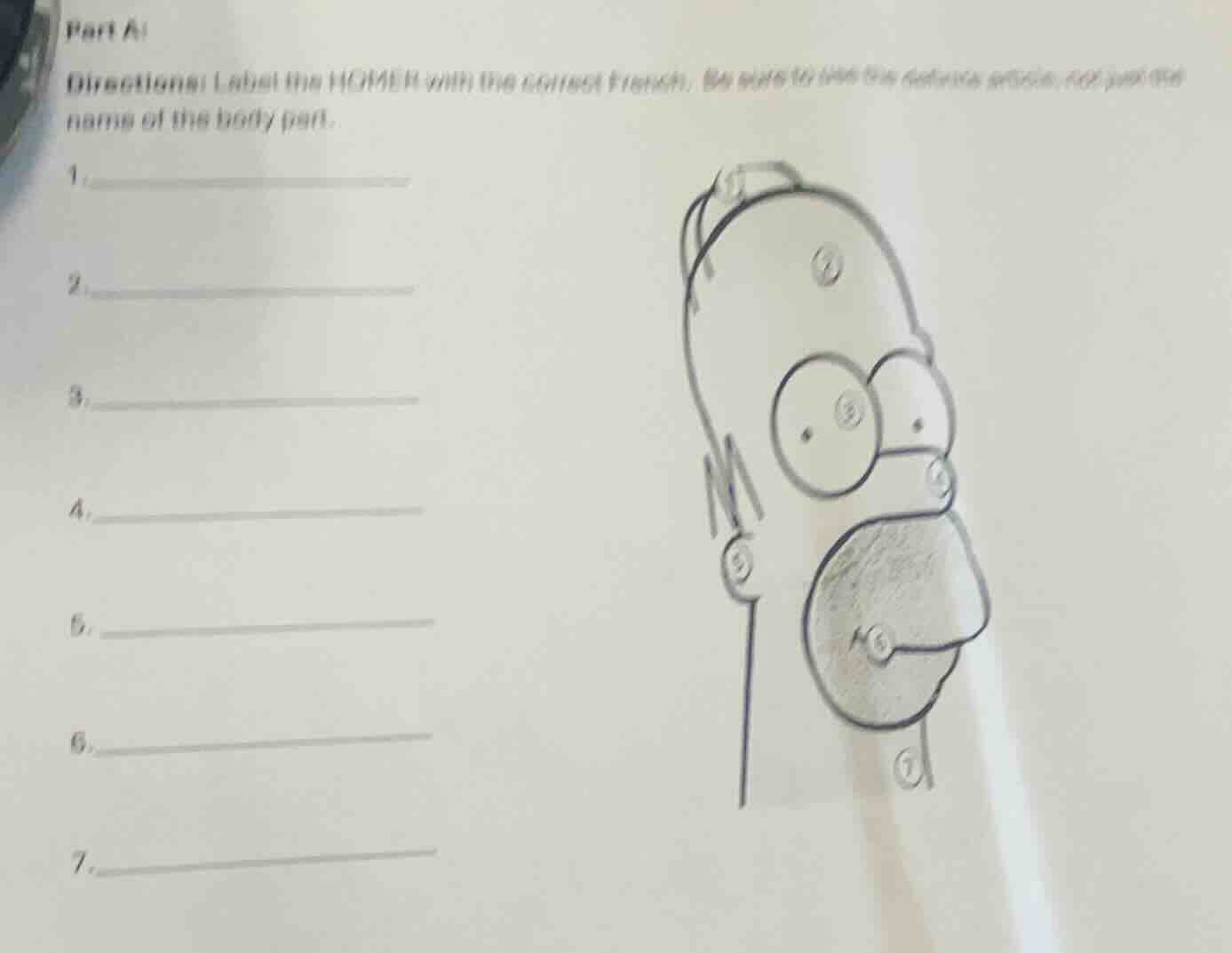 part a:directions: label the homer with the correct french. be sure to …