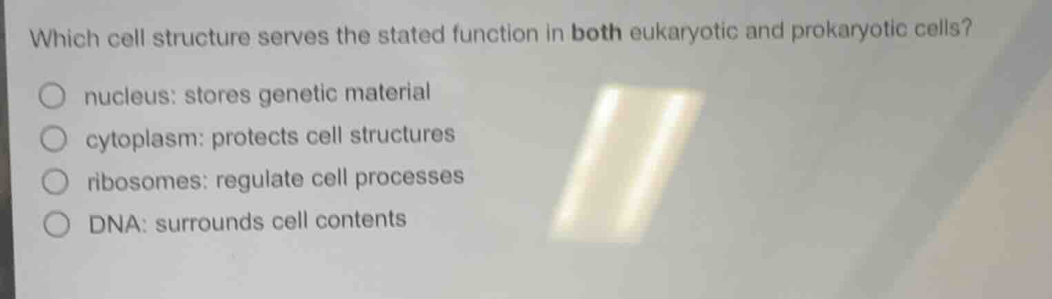 which cell structure serves the stated function in both eukaryotic and prokaryotic cells?nucleus: stores genetic materialcytoplasm: protects cell structuresribosomes: regulate cell processesdna: surrounds cell contents