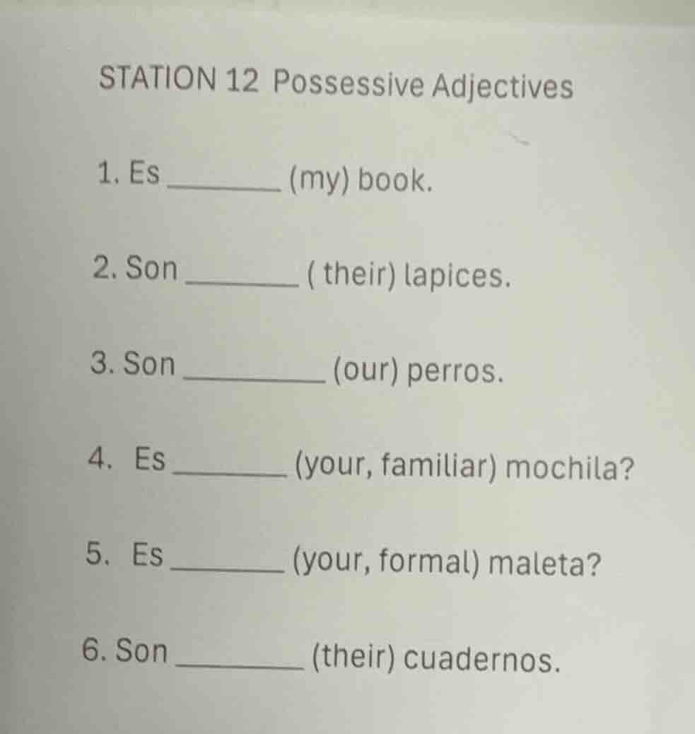 station 12 possessive adjectives 1. es ________ (my) book. 2. son _____…