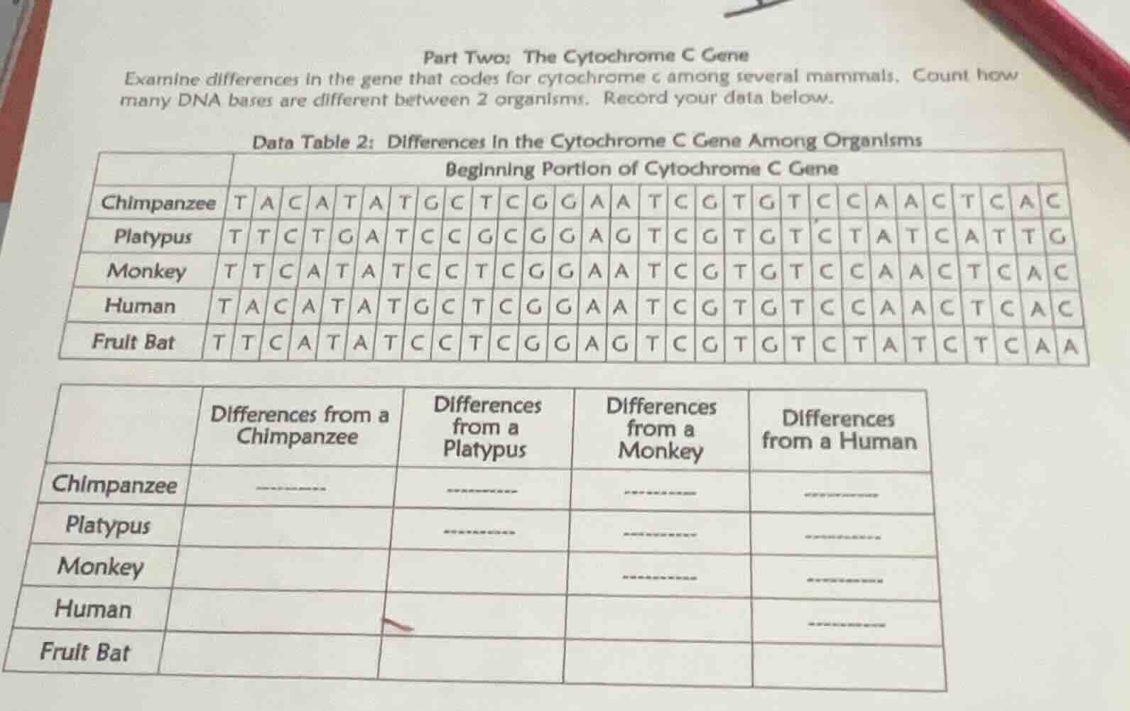 part two: the cytochrome c gene examine differences in the gene that co…
