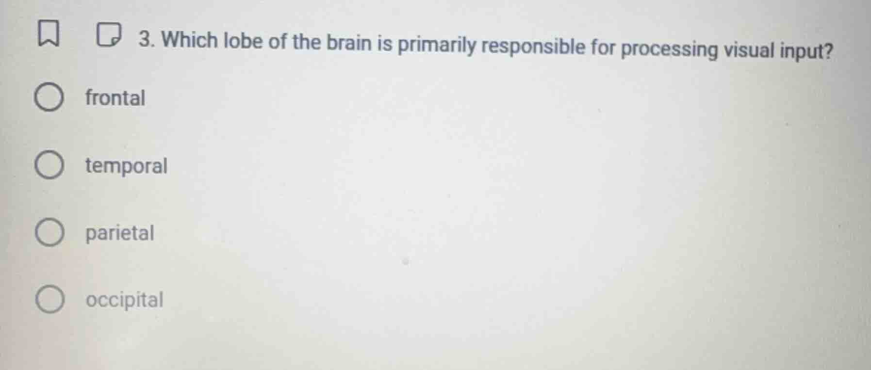 3. which lobe of the brain is primarily responsible for processing visu…
