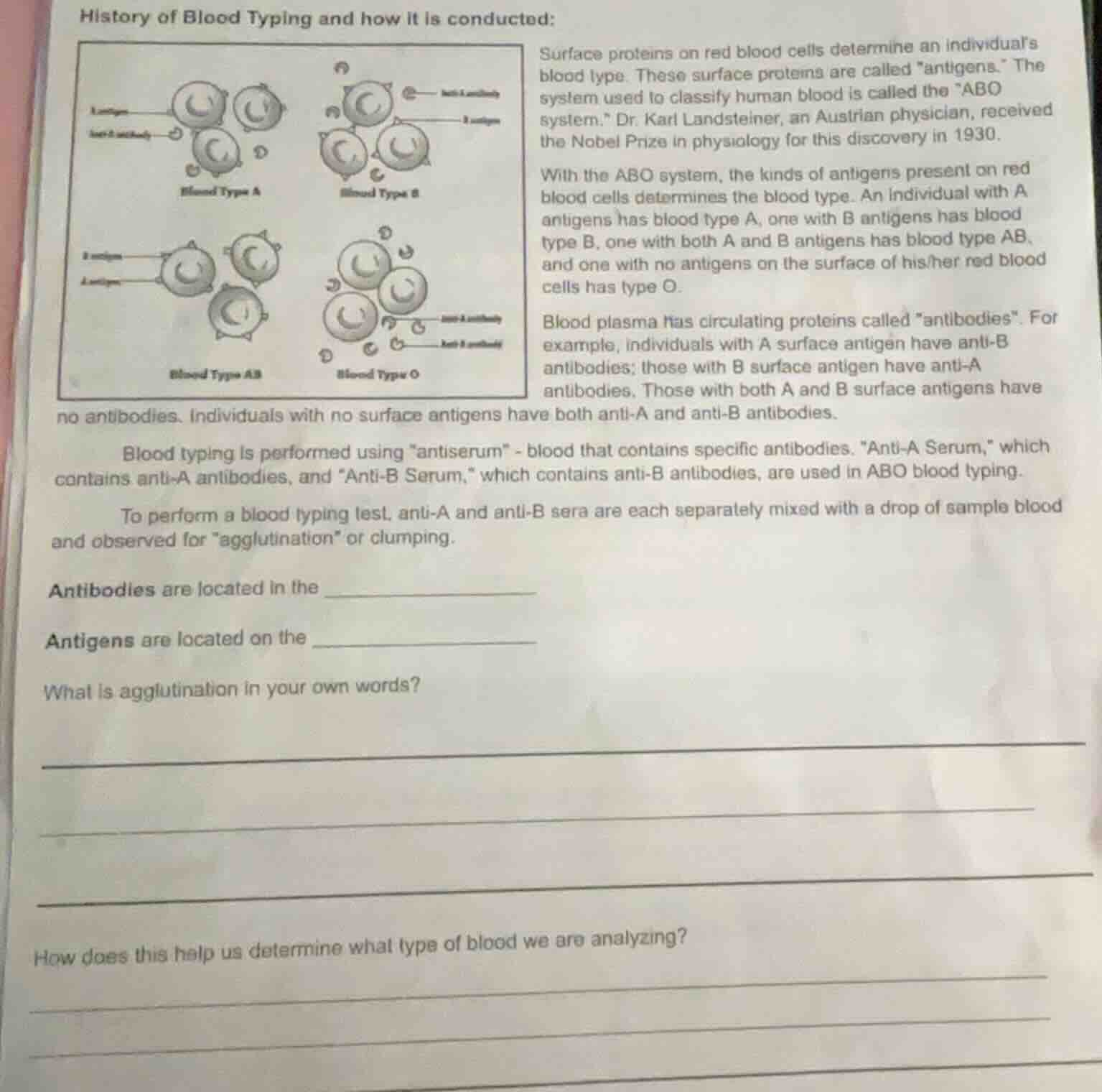 history of blood typing and how it is conducted: surface proteins on re…