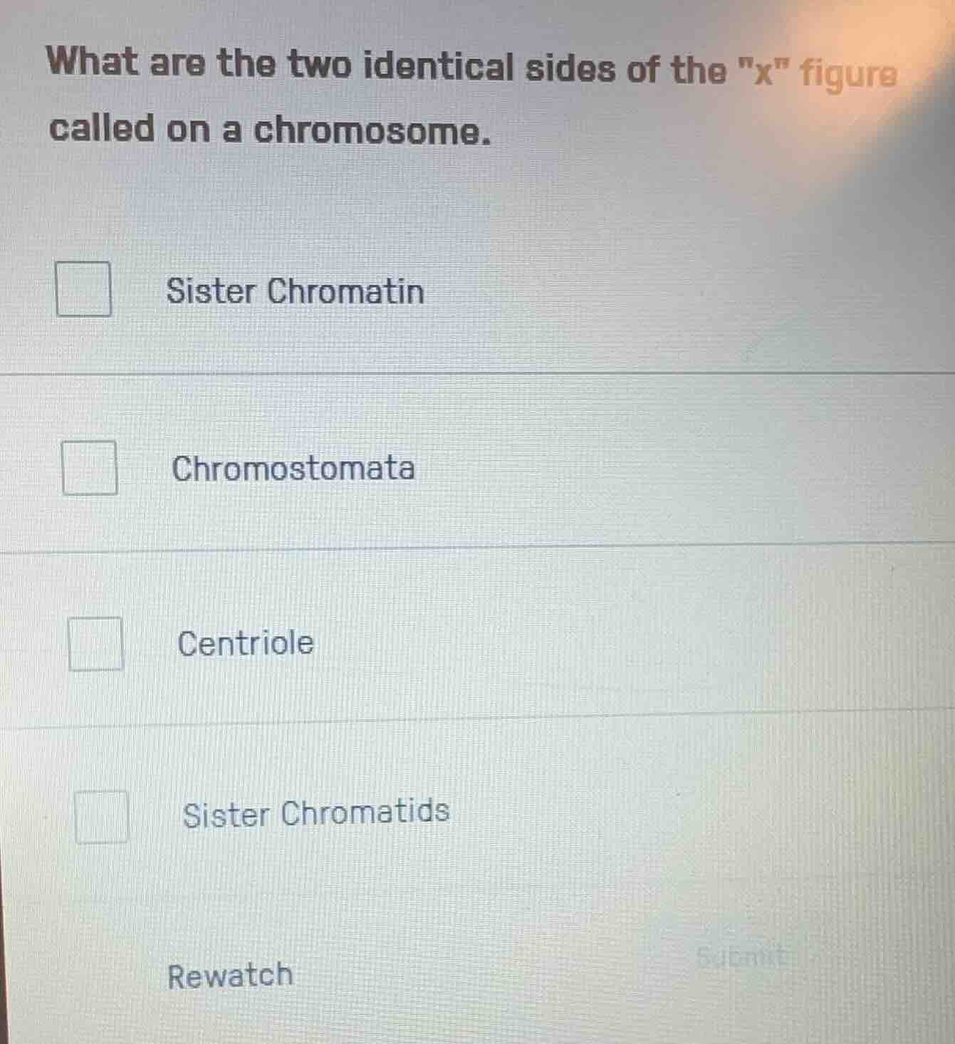 what are the two identical sides of the \x\ figure called on a chromoso…