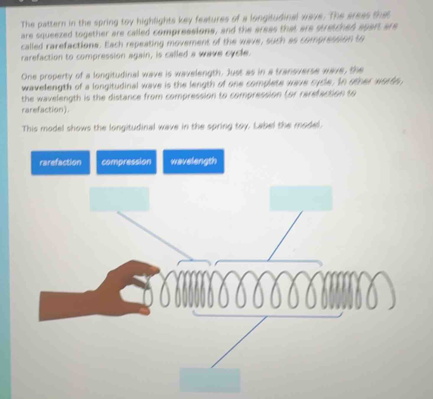 the pattern in the spring toy highlights key features of a longitudinal…