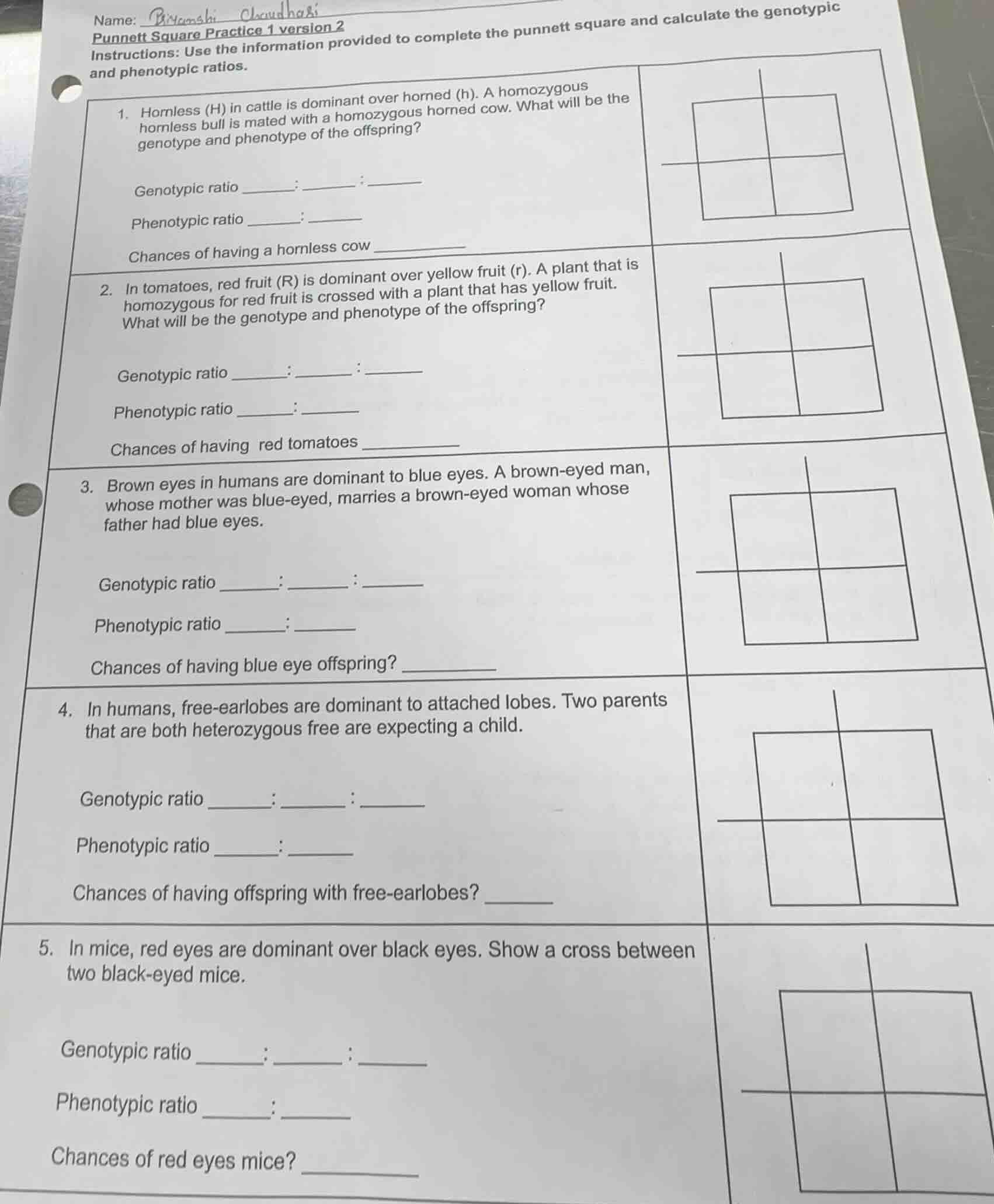 name:punnett square practice 1 version 2instructions: use the informati…