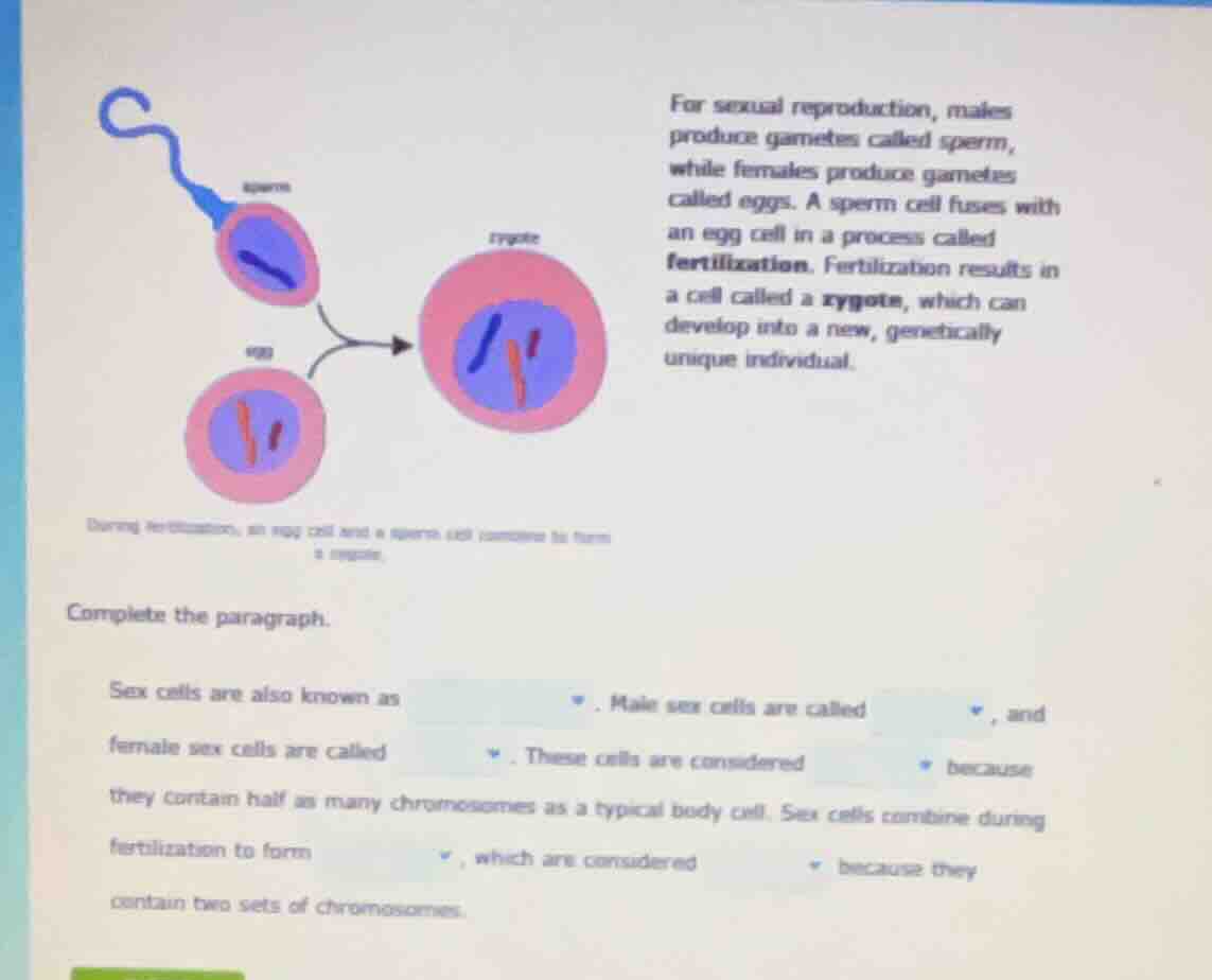 for sexual reproduction, males produce gametes called sperm, while fema…