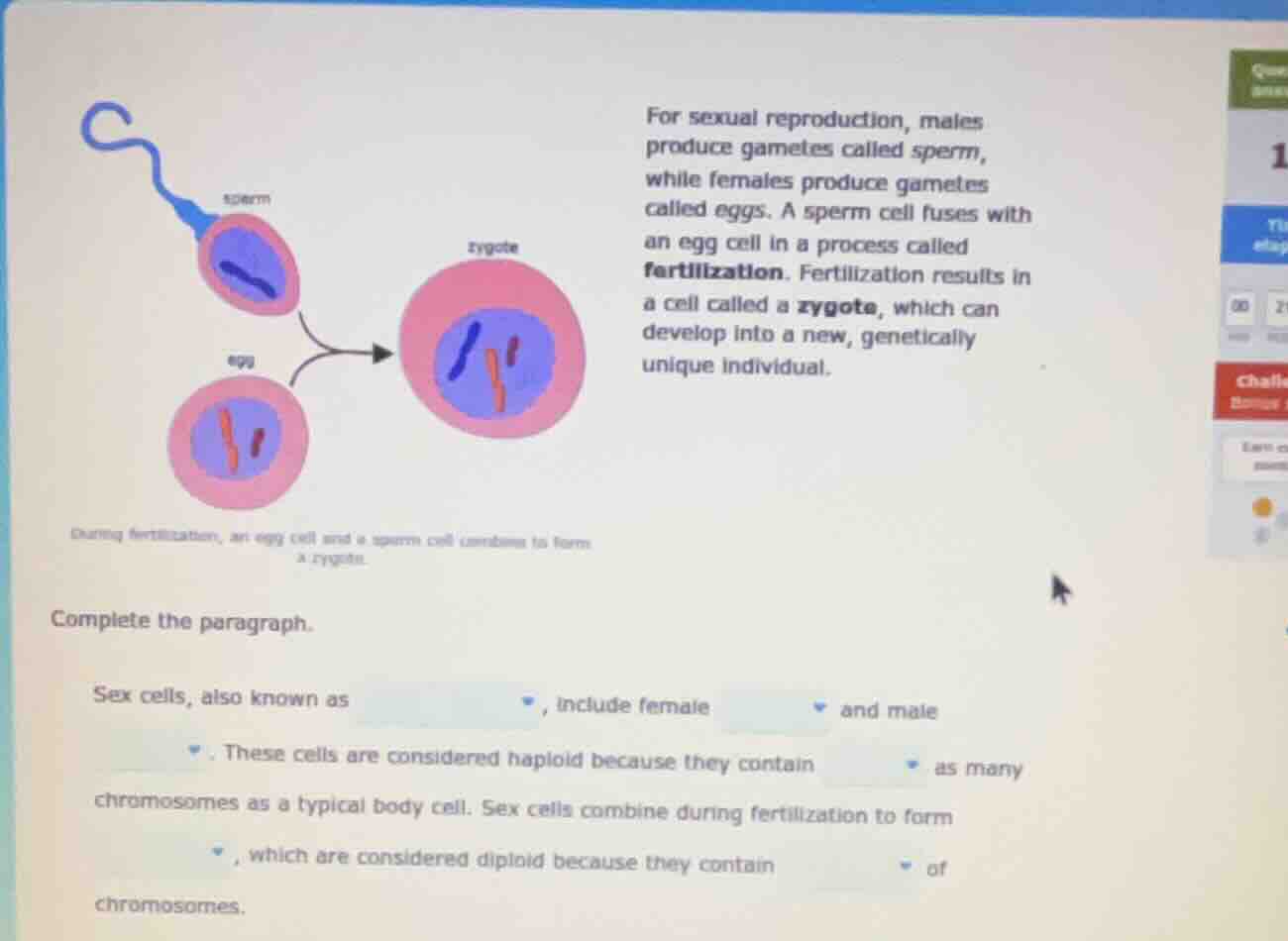for sexual reproduction, males produce gametes called sperm, while fema…