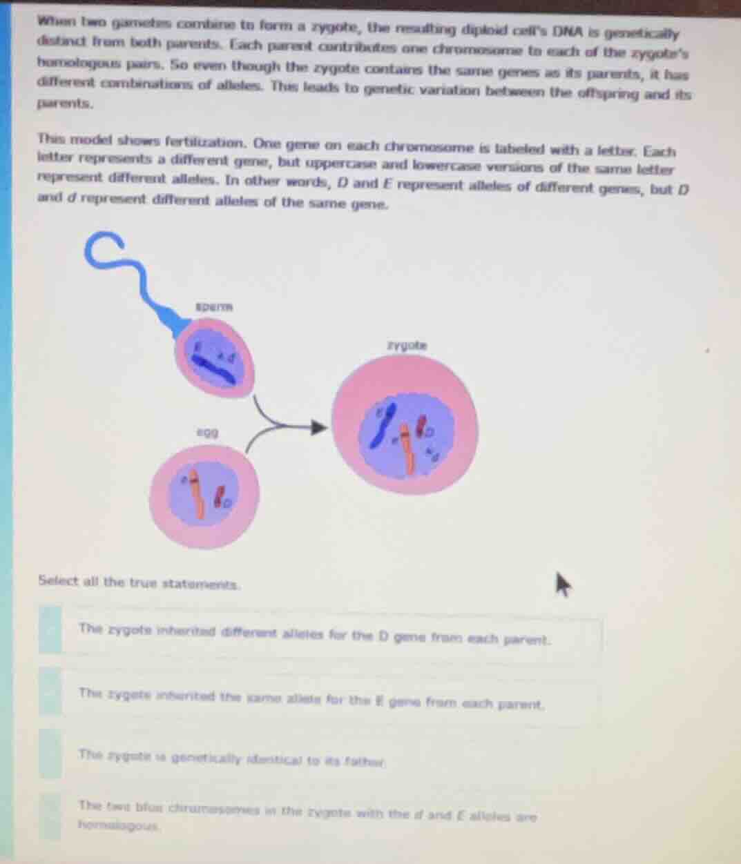 when two gametes combine to form a zygote, the resulting diploid cells …