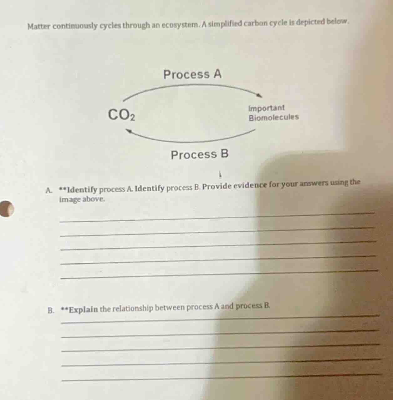 matter continuously cycles through an ecosystem. a simplified carbon cy…