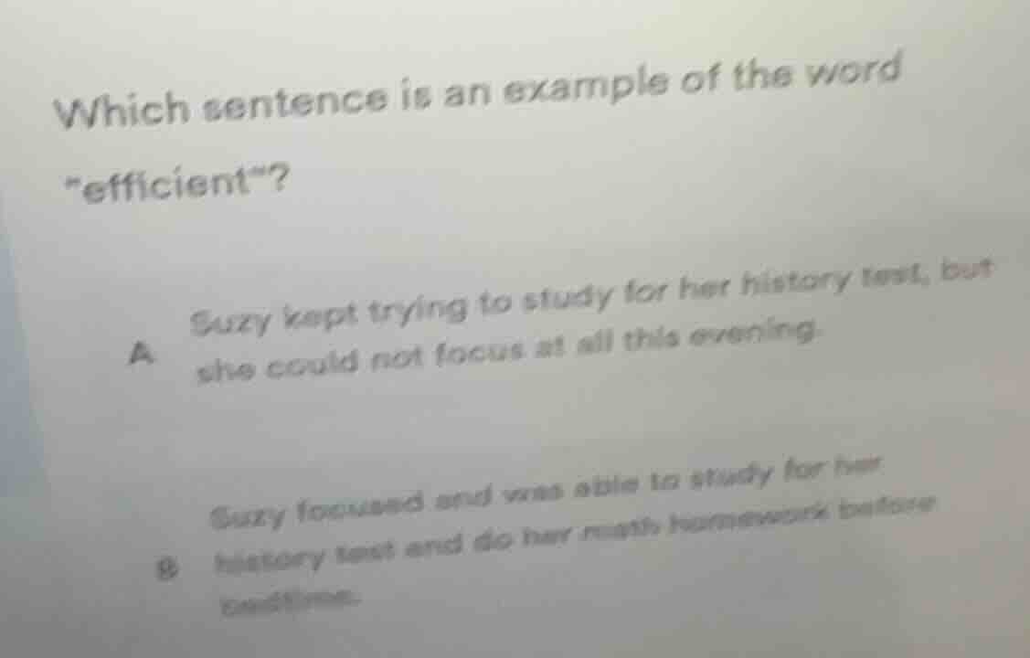 which sentence is an example of the word \efficient\? a suzy kept tryin…