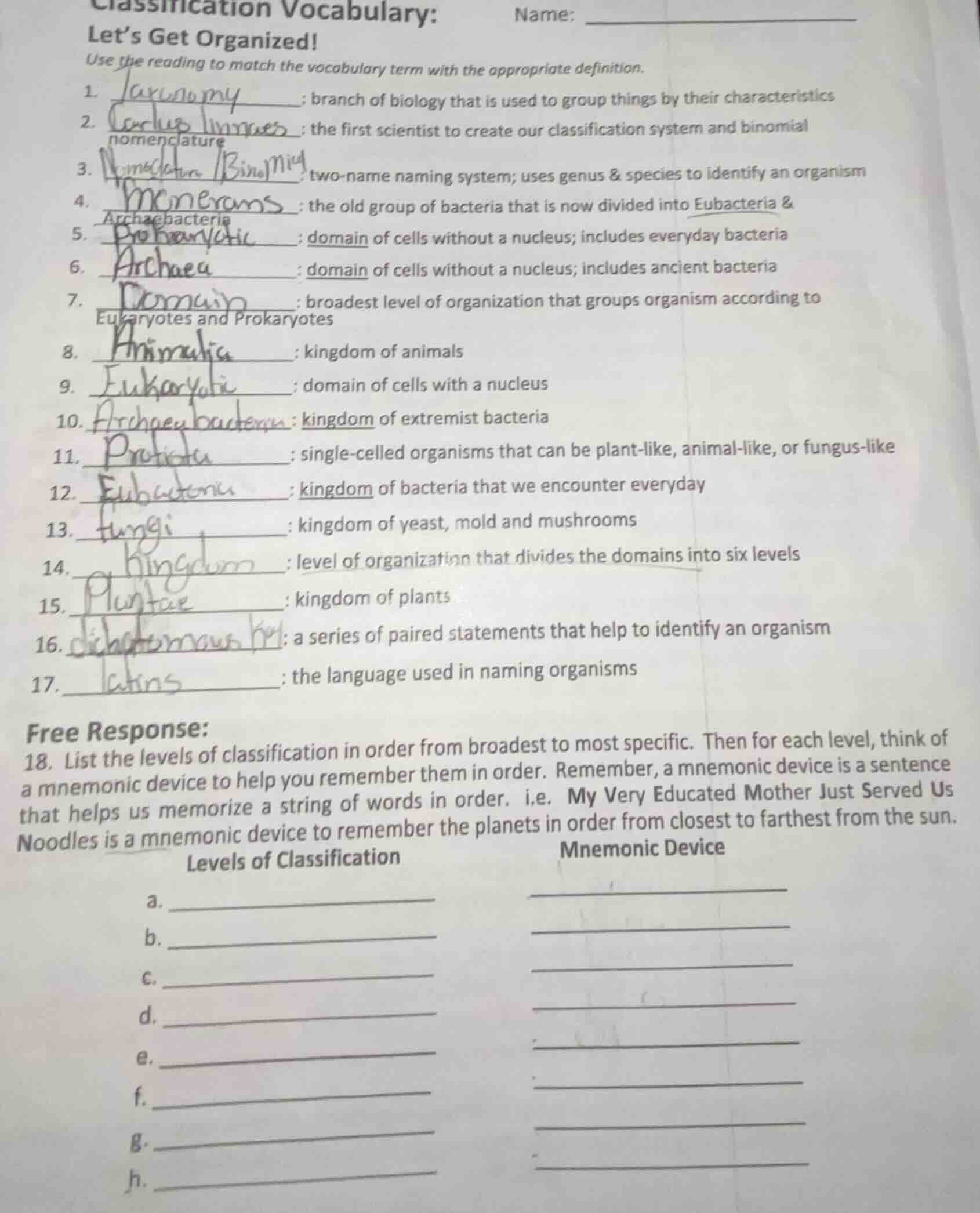 classification vocabulary:name:lets get organized!use the reading to ma…