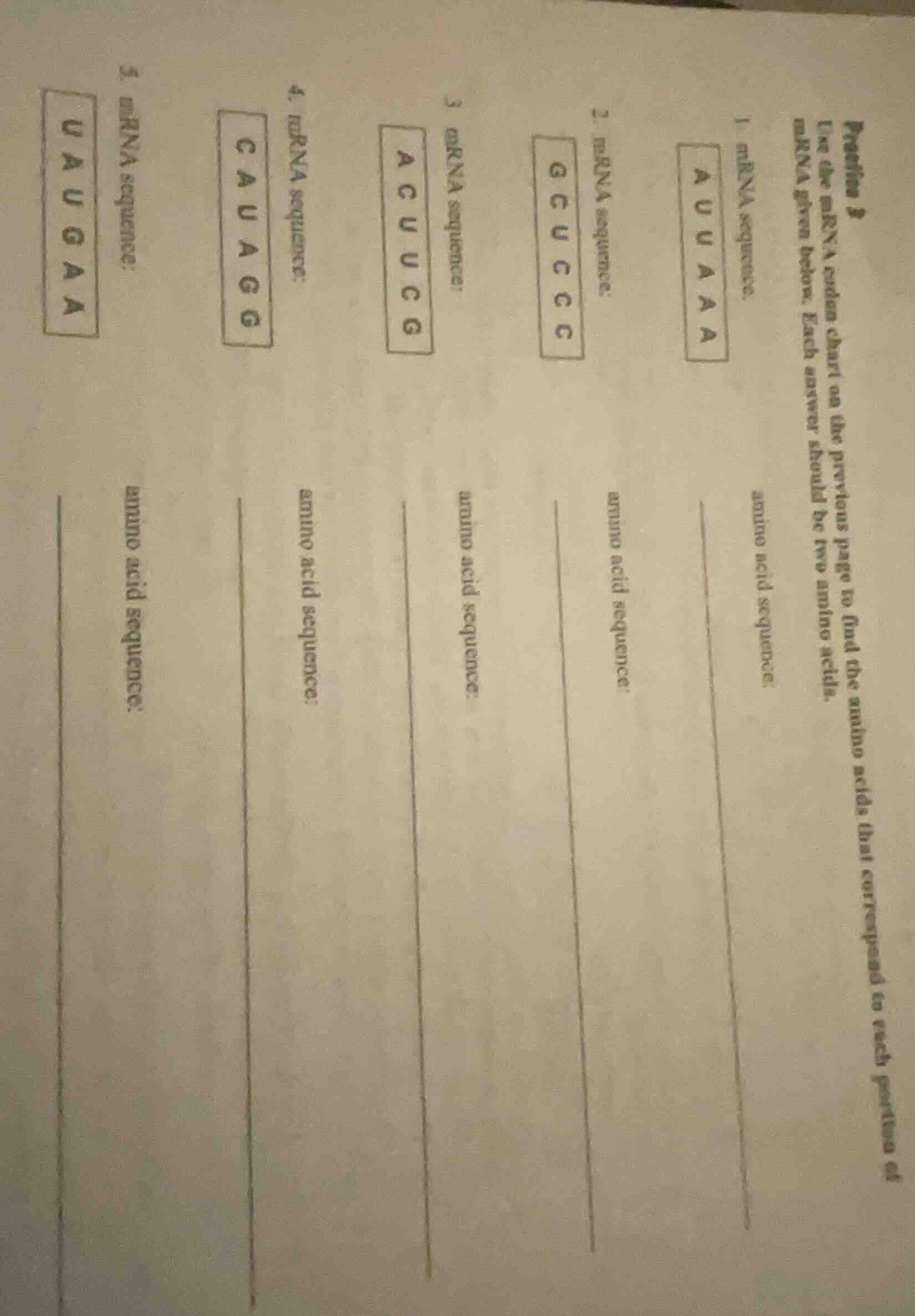 practice 3 use the mrna codon chart on the previous page to find the am…