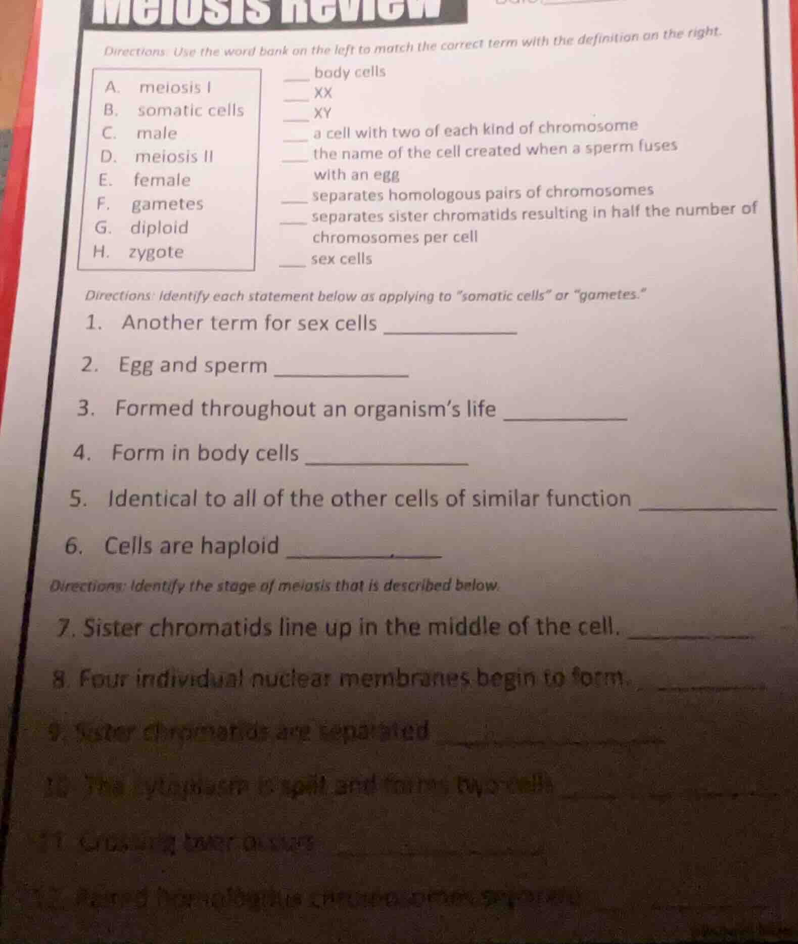 meiosis review directions: use the word bank on the left to match the c…