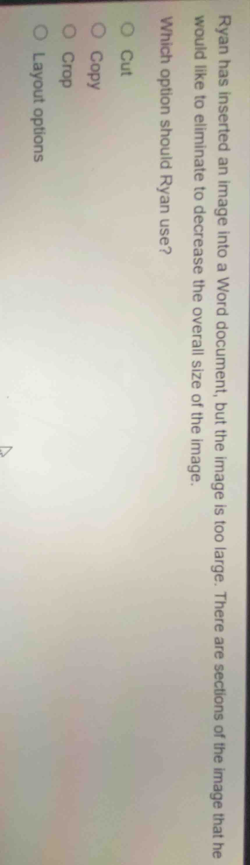 ryan has inserted an image into a word document, but the image is too l…