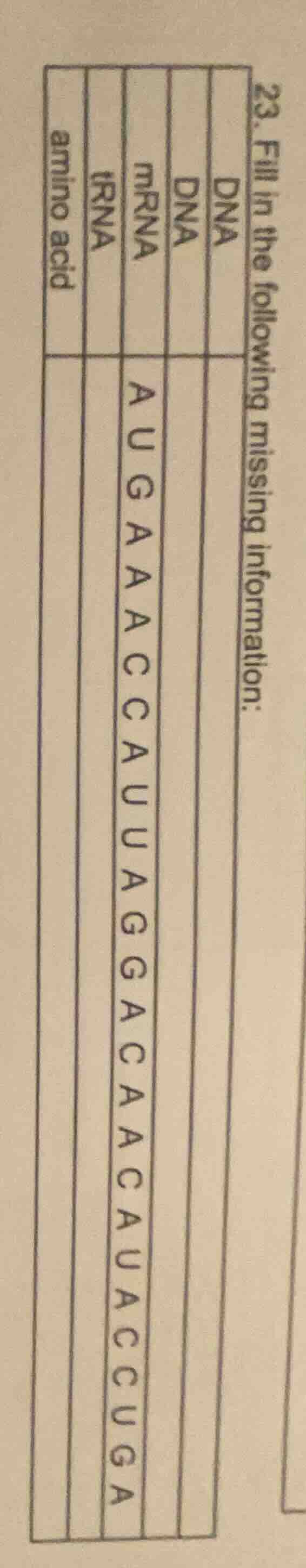 23. fill in the following missing information: | dna | dna | mrna | trn…