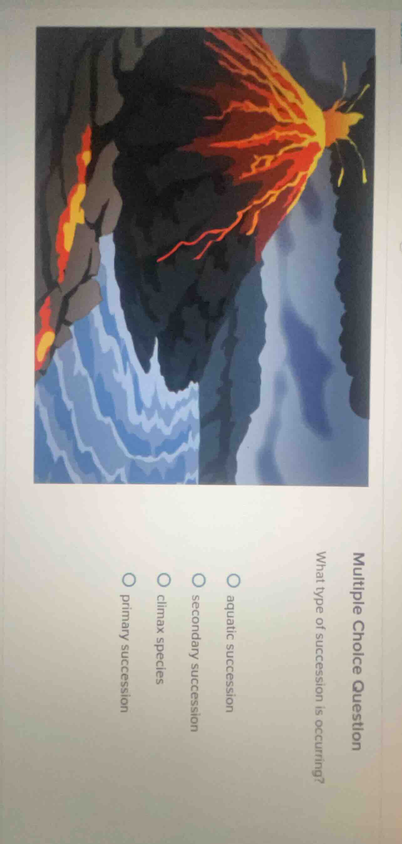 multiple choice question what type of succession is occurring? ○ aquati…