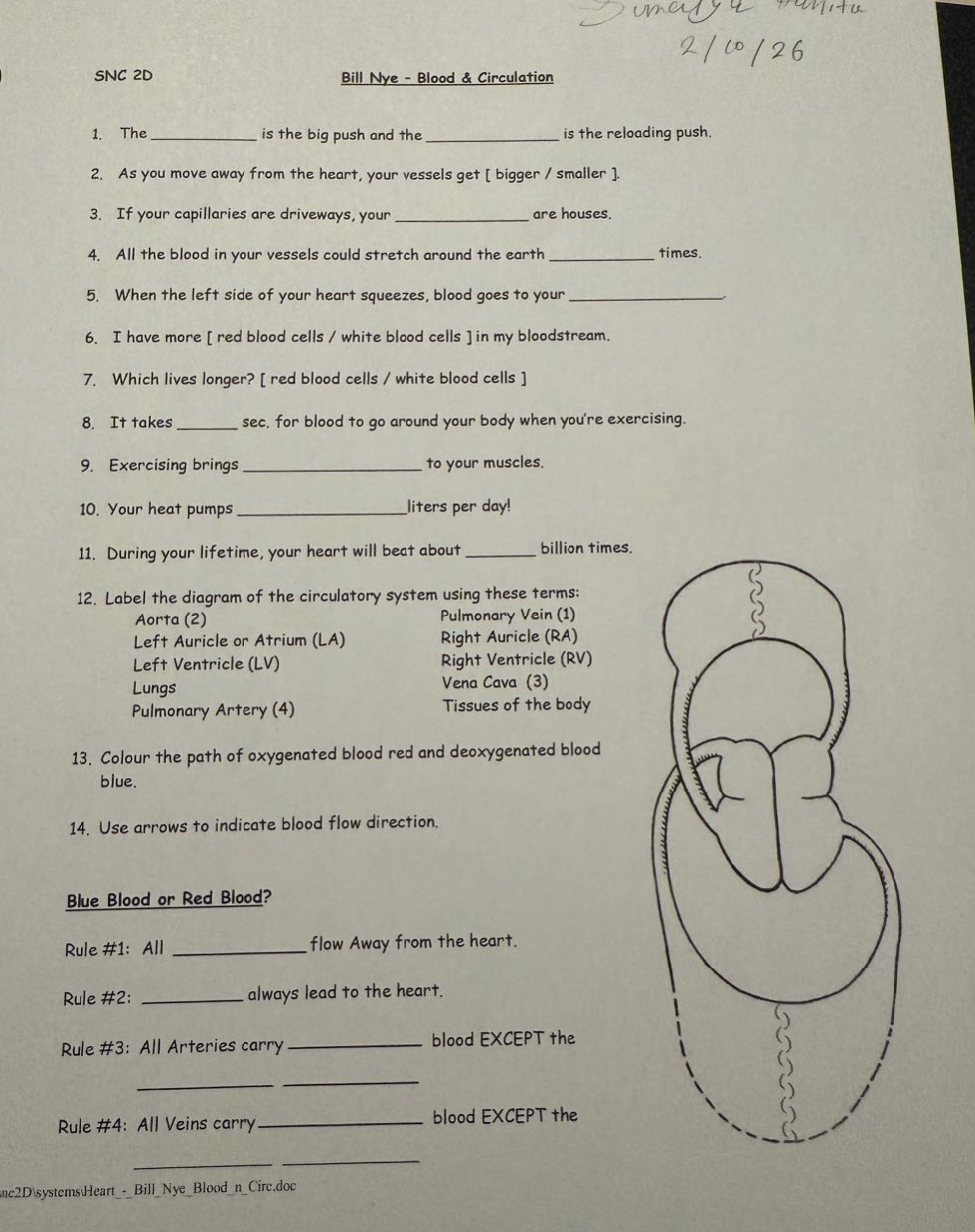 snc 2d bill nye - blood & circulation 1. the ____________ is the big pu…