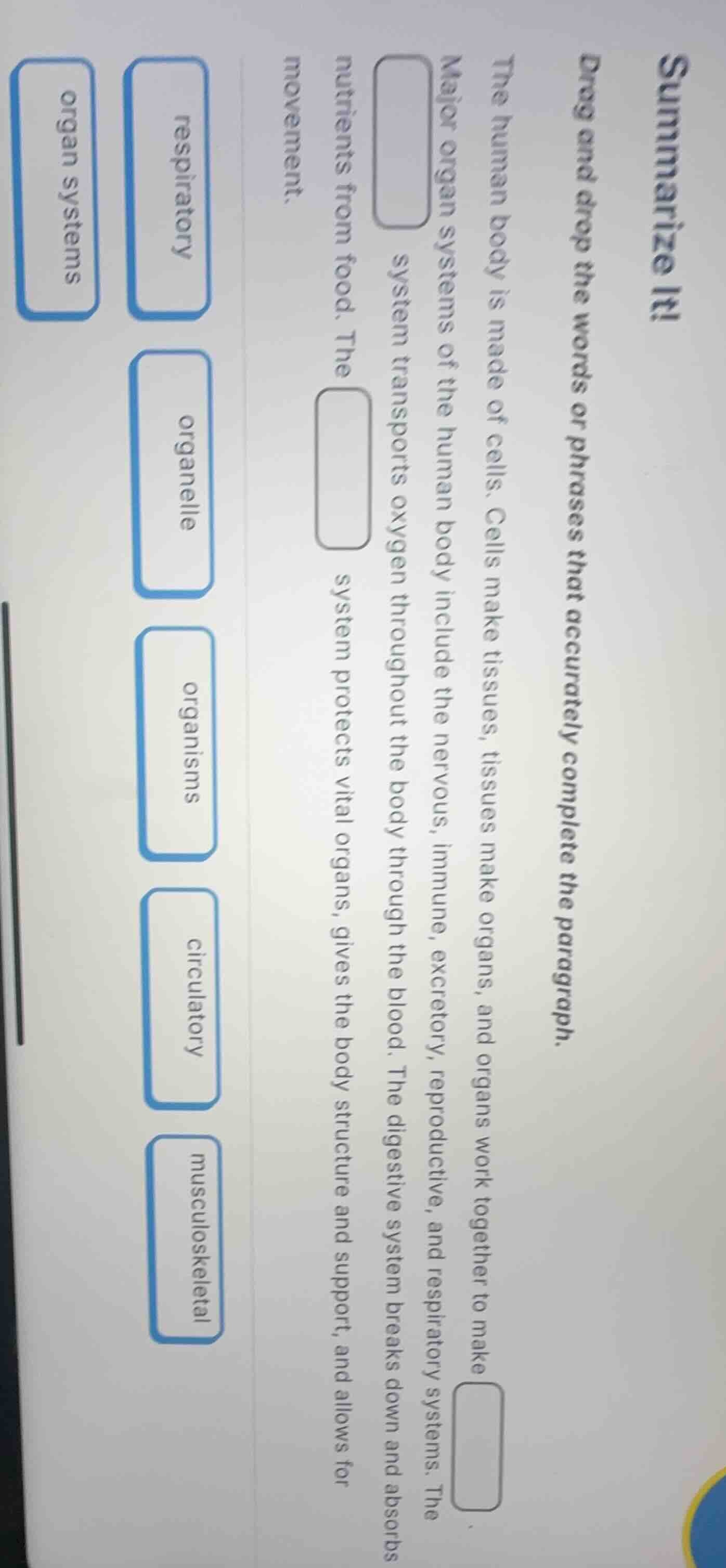 summarize it! drag and drop the words or phrases that accurately comple…