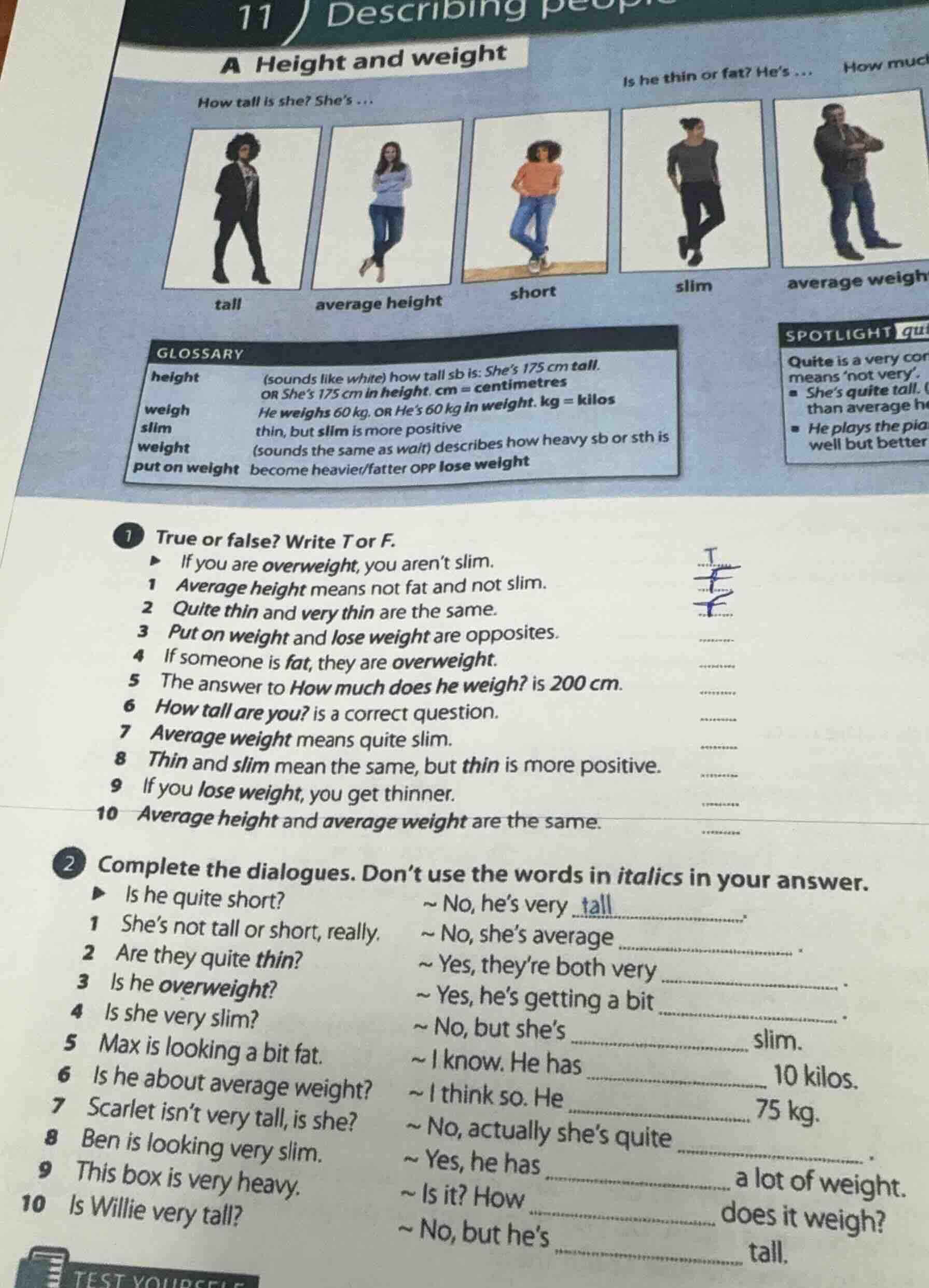 11 describing people a height and weight how tall is she? shes ... is h…