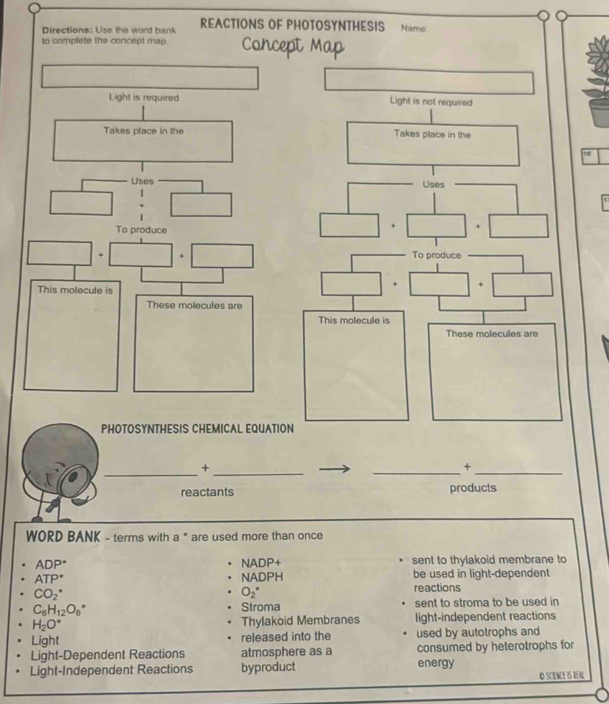 reactions of photosynthesisname:directions: use the word bank to comple…
