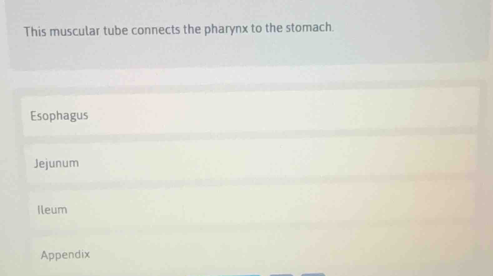 this muscular tube connects the pharynx to the stomach. esophagus jejun…