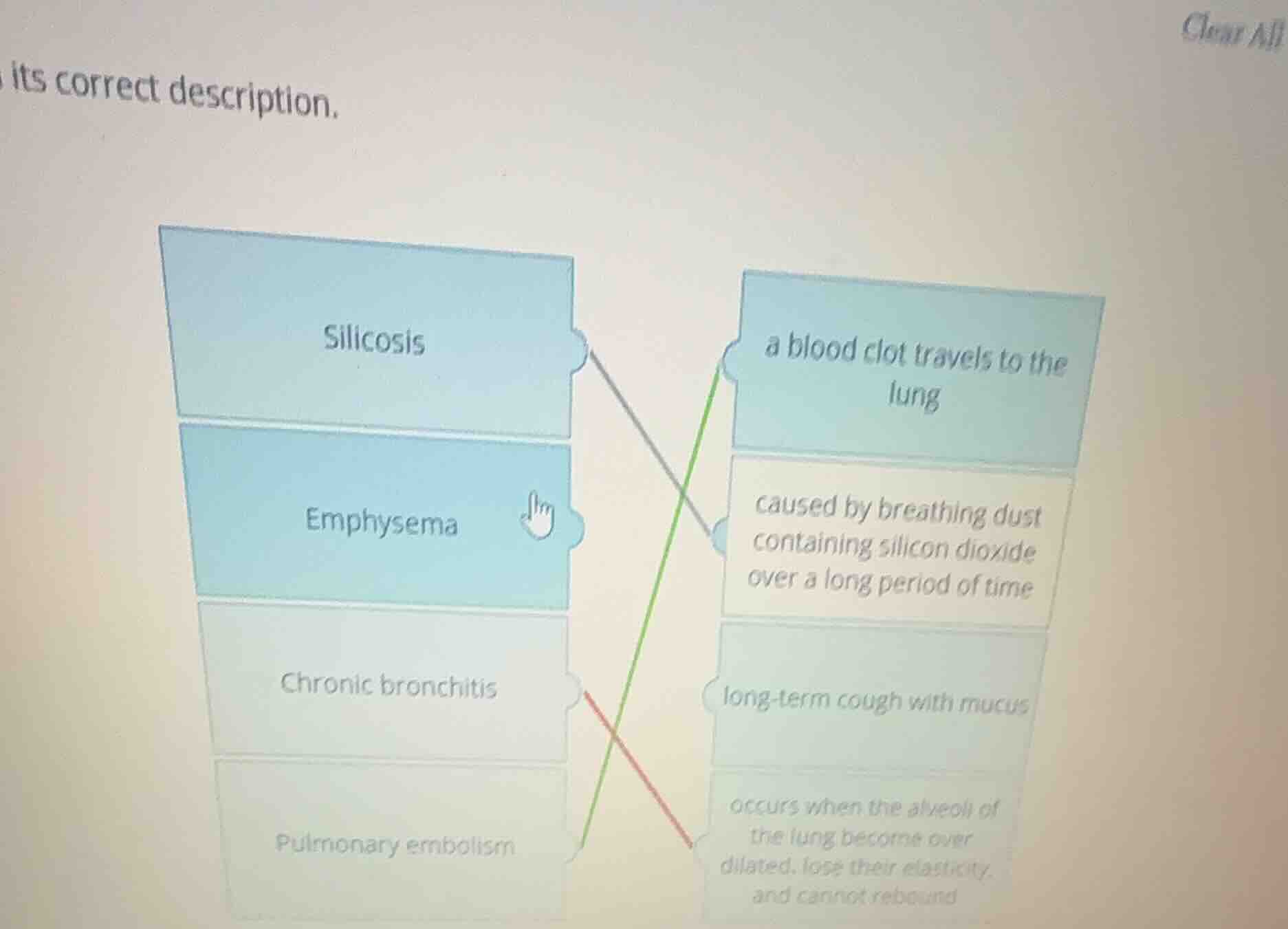 its correct description. silicosis emphysema chronic bronchitis pulmona…