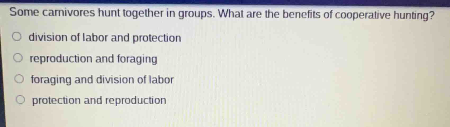 some carnivores hunt together in groups. what are the benefits of coope…