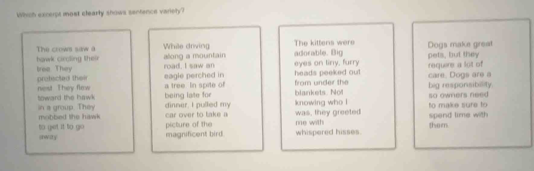 which excerpt most clearly shows sentence variety?the crows saw a hawk …