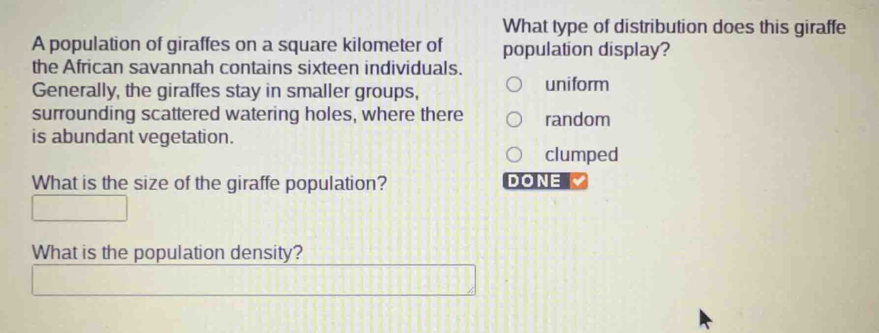 a population of giraffes on a square kilometer of the african savannah …