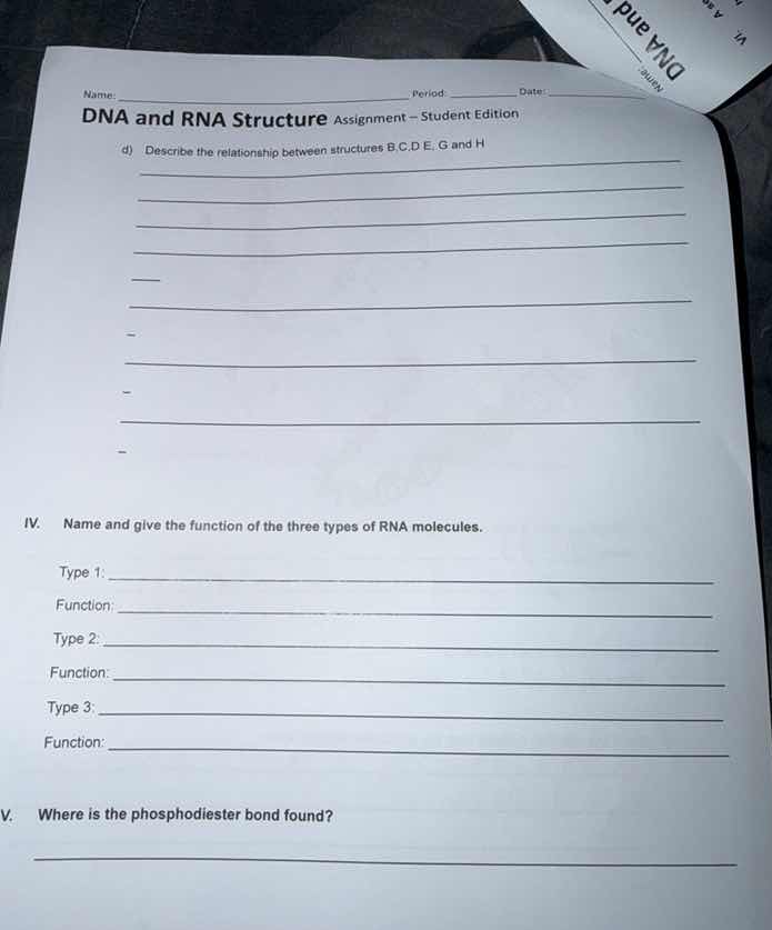 name: ________________________ period: _______ date: _______ dna and rn…