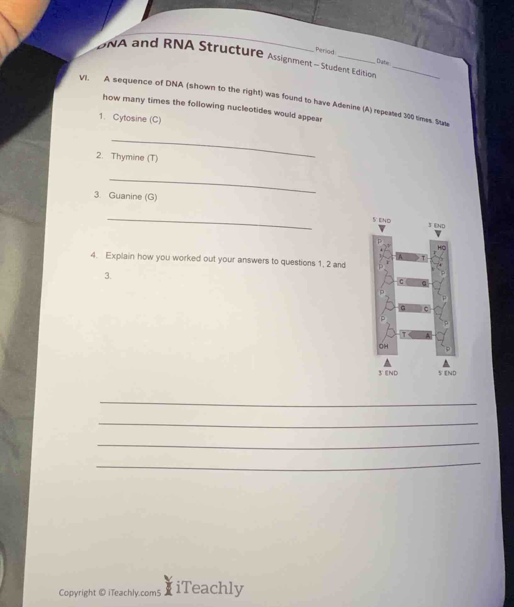dna and rna structureperiod: __________ date: __________assignment – st…