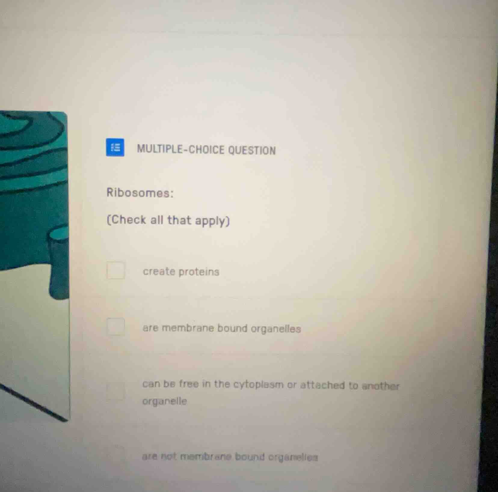 multiple-choice question ribosomes: (check all that apply) create prote…