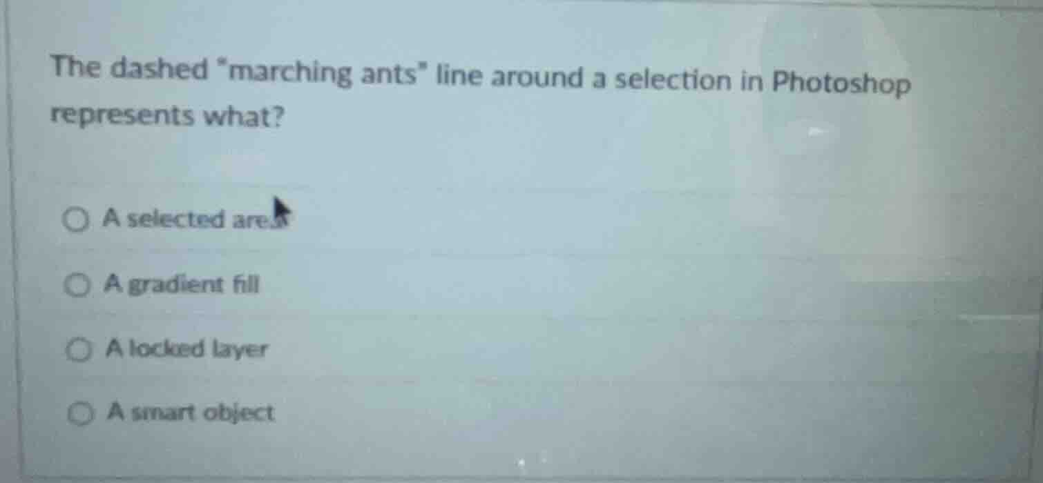 the dashed \marching ants\ line around a selection in photoshop represe…