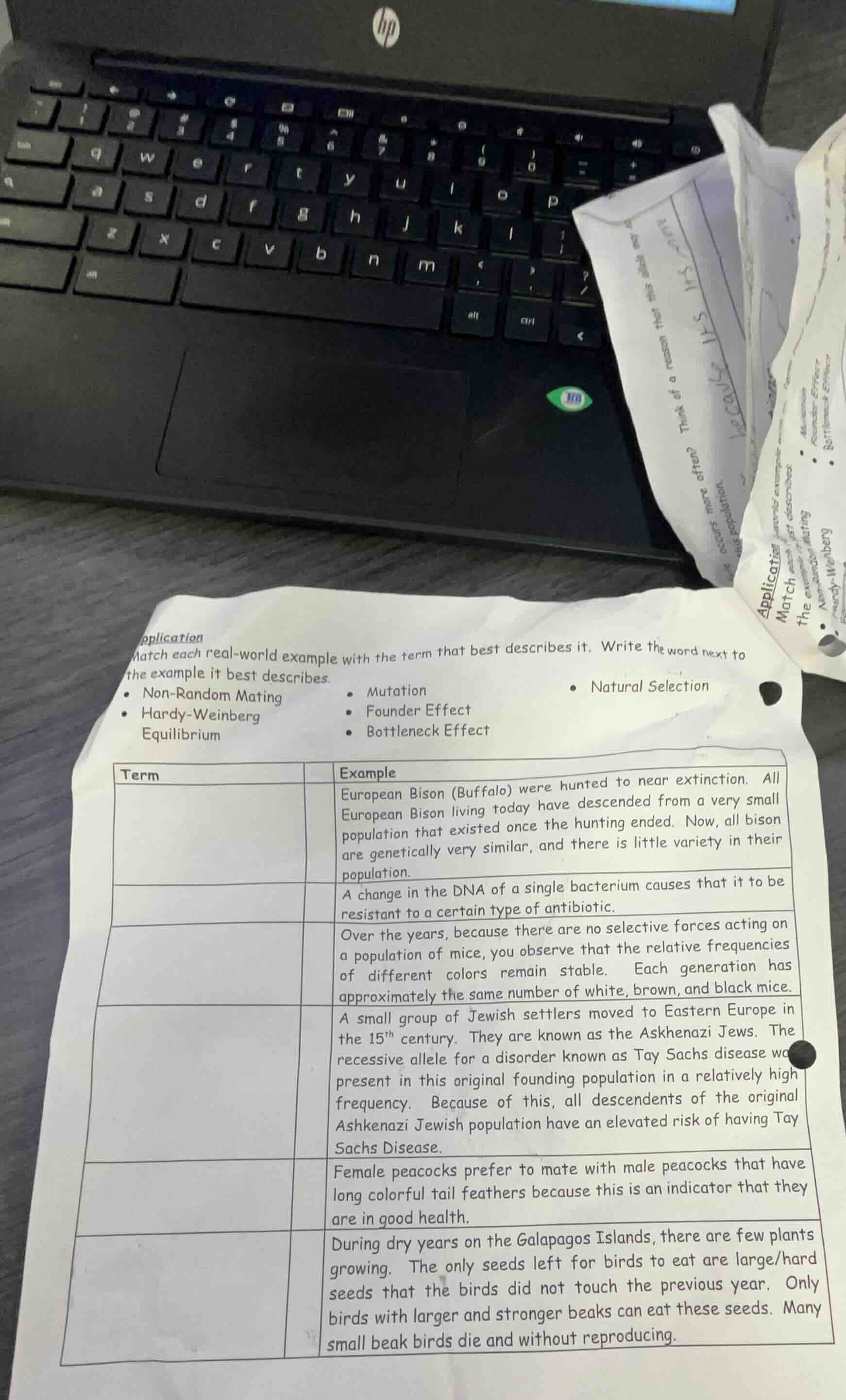 pplication match each real-world example with the term that best descri…