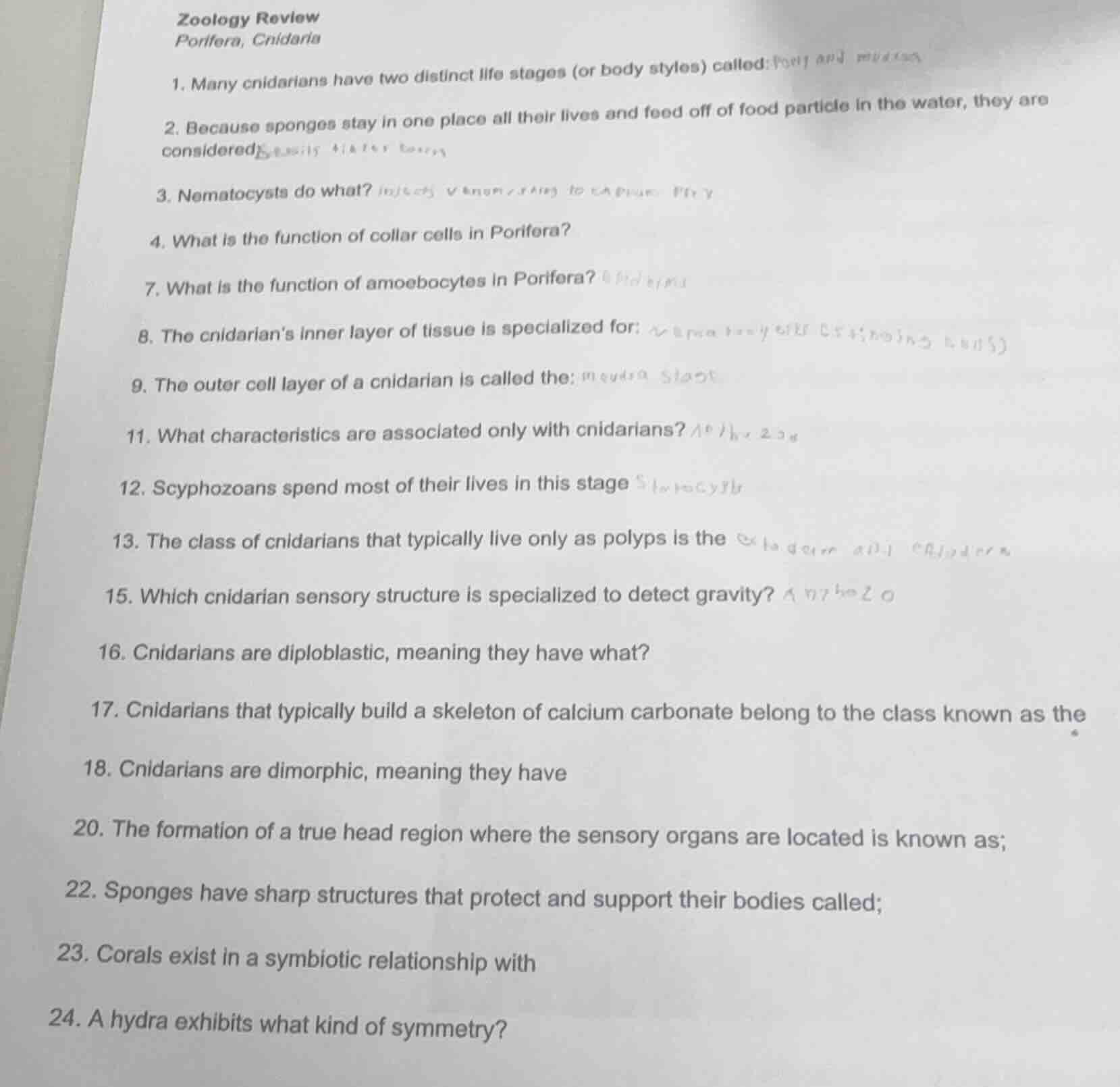 zoology reviewporifera, cnidaria1. many cnidarians have two distinct li…