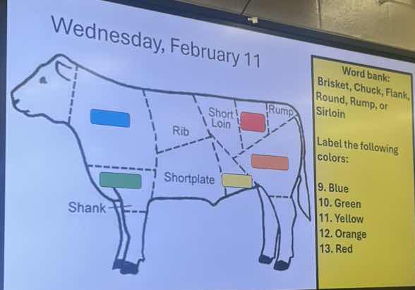 wednesday, february 11 word bank: brisket, chuck, flank, round, rump, o…