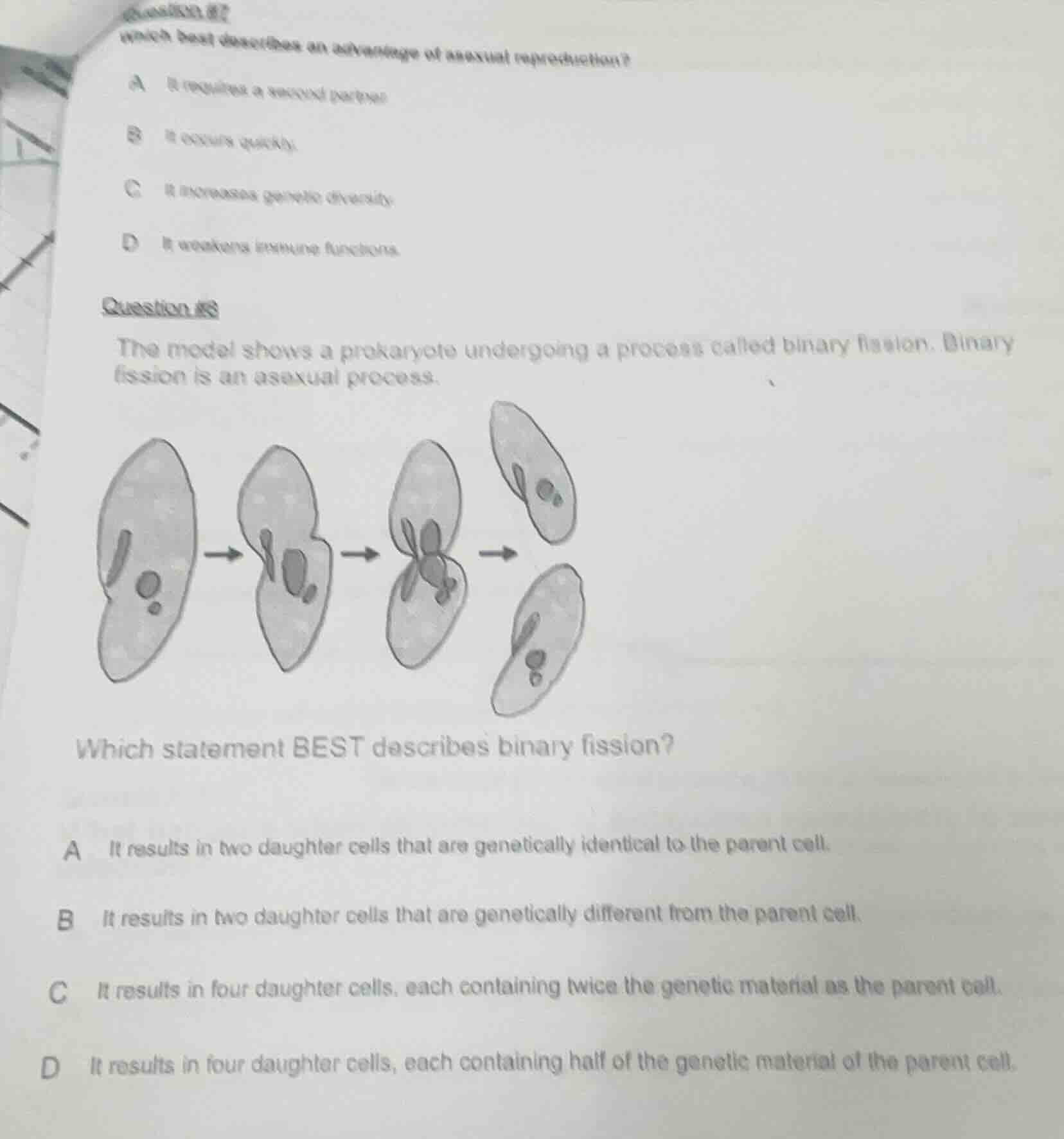 question #7 which best describes an advantage of asexual reproduction? …