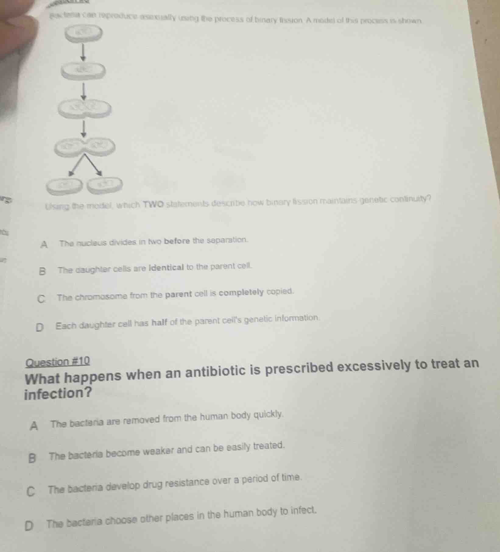 bacteria can reproduce asexually using the process of binary fission. a…