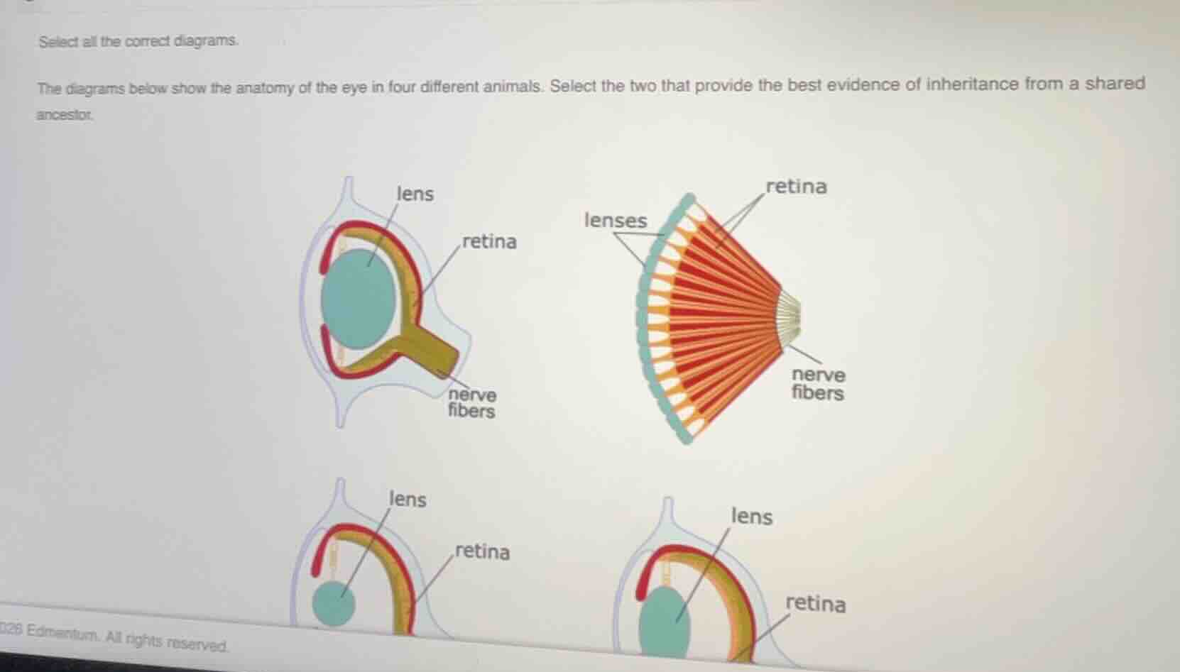 select all the correct diagrams. the diagrams below show the anatomy of…
