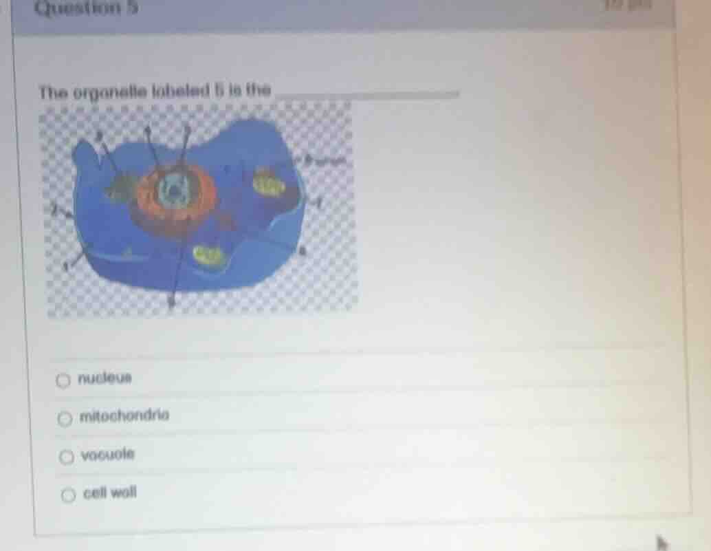 question 5 the organelle labeled 5 is the nucleus mitochondria vacuole …