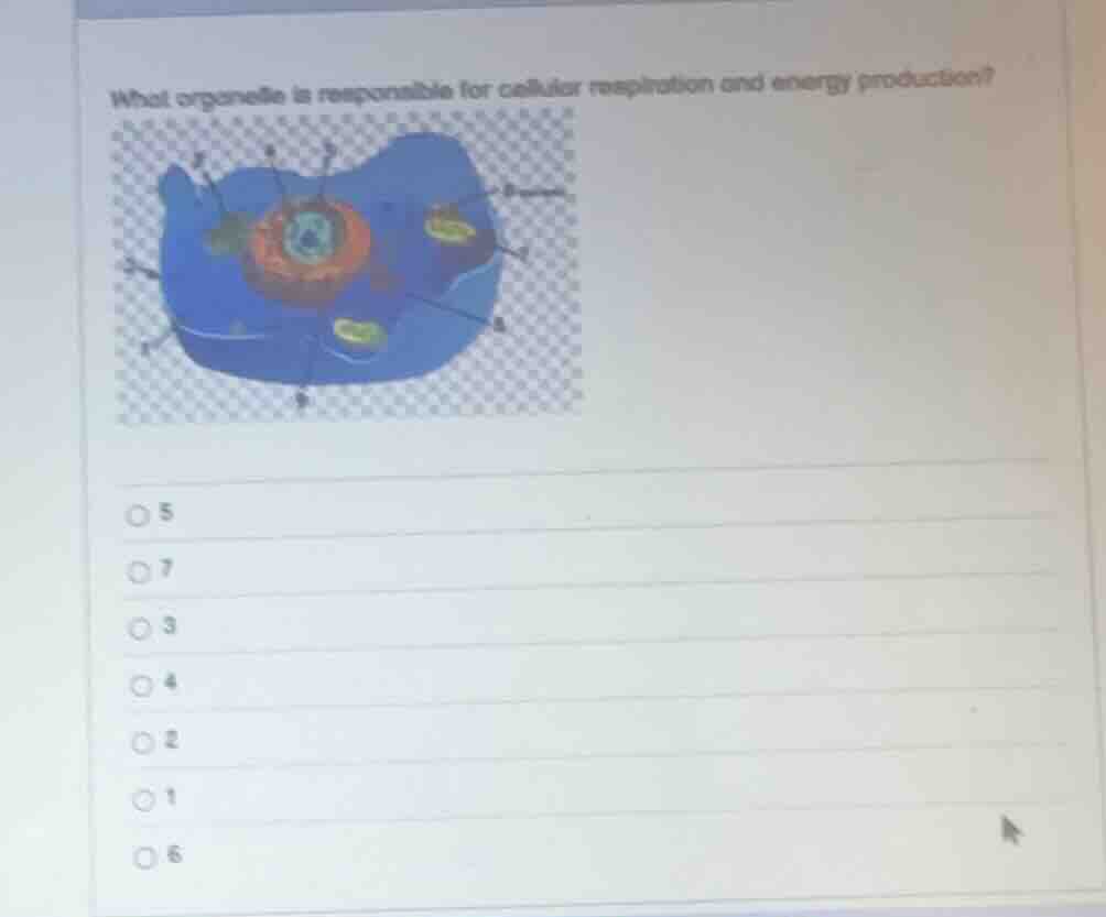 what organelle is responsible for cellular respiration and energy produ…