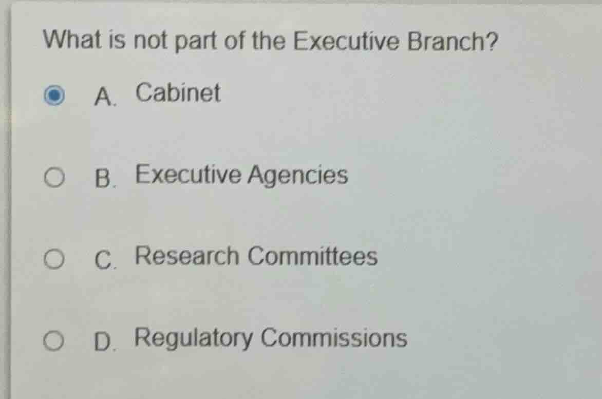what is not part of the executive branch? a. cabinet b. executive agenc…