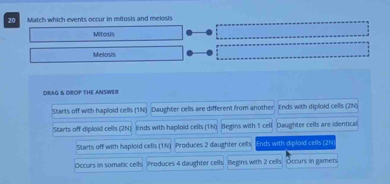 20 match which events occur in mitosis and melosis mitosis melosis drag…