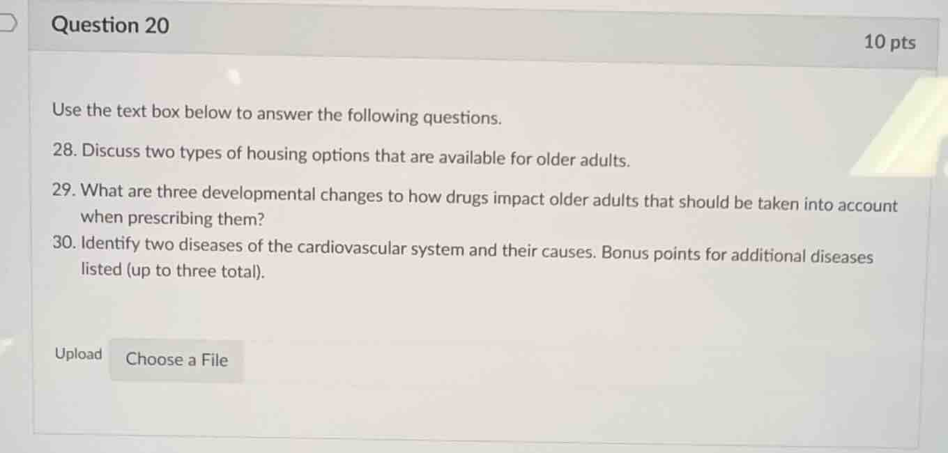 question 20 10 pts use the text box below to answer the following quest…