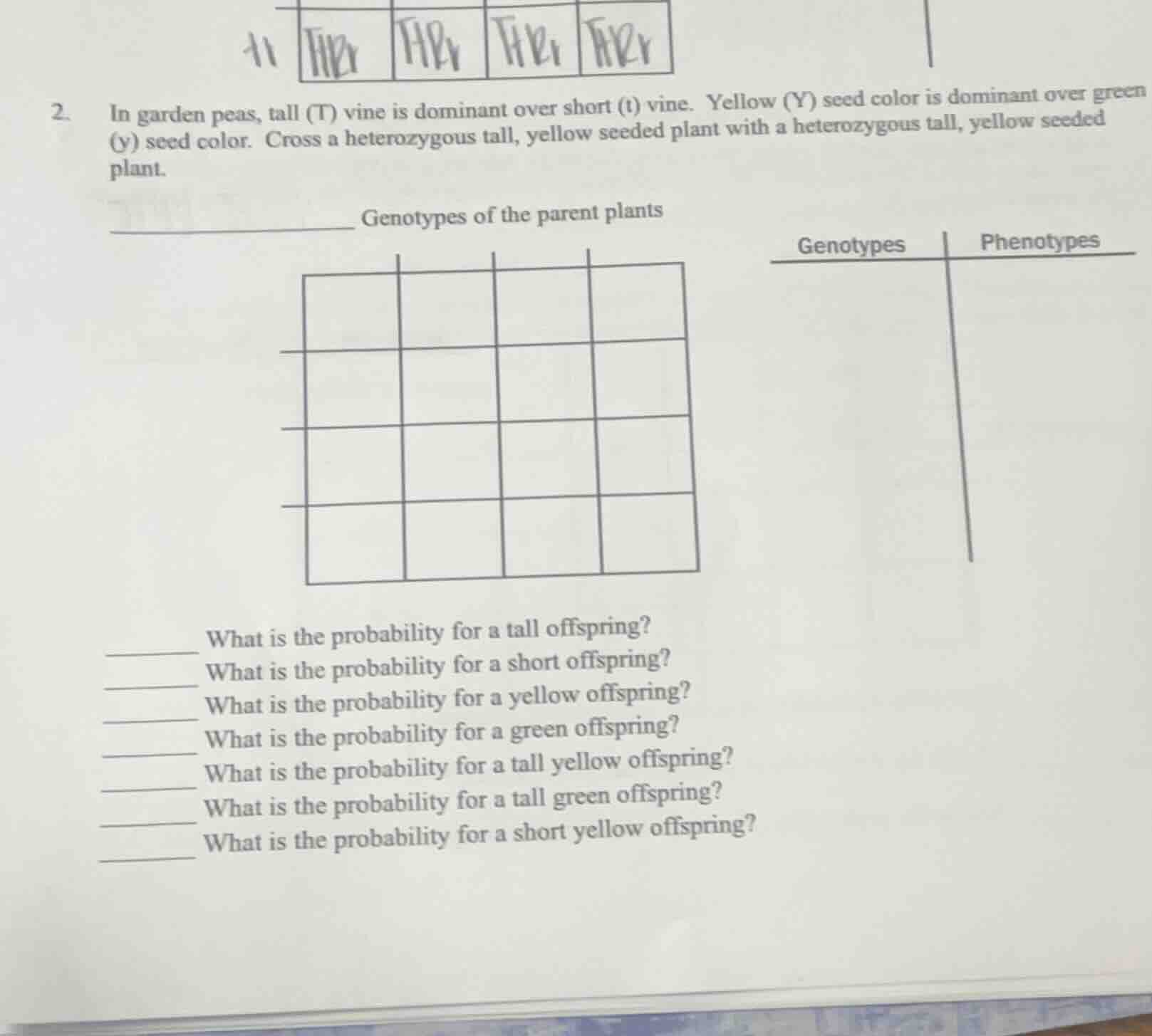 2. in garden peas, tall (t) vine is dominant over short (t) vine. yello…