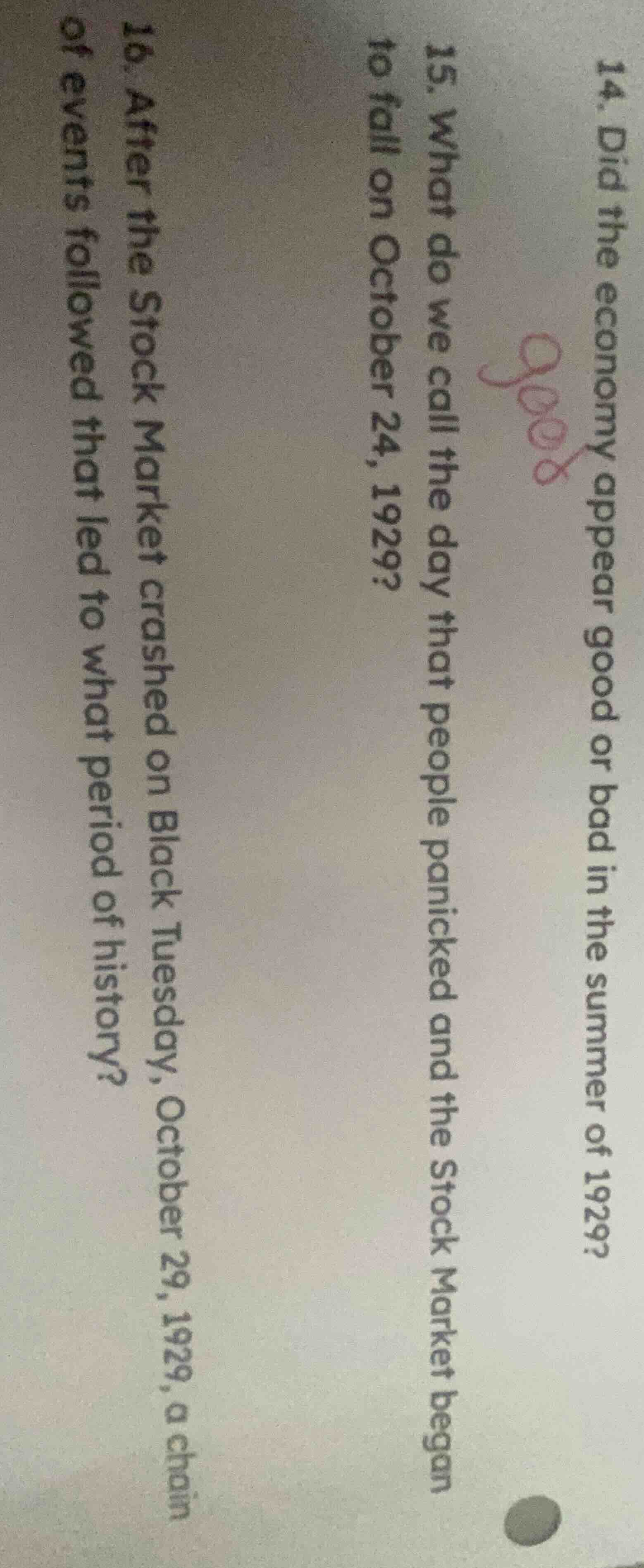 14. did the economy appear good or bad in the summer of 1929?15. what d…