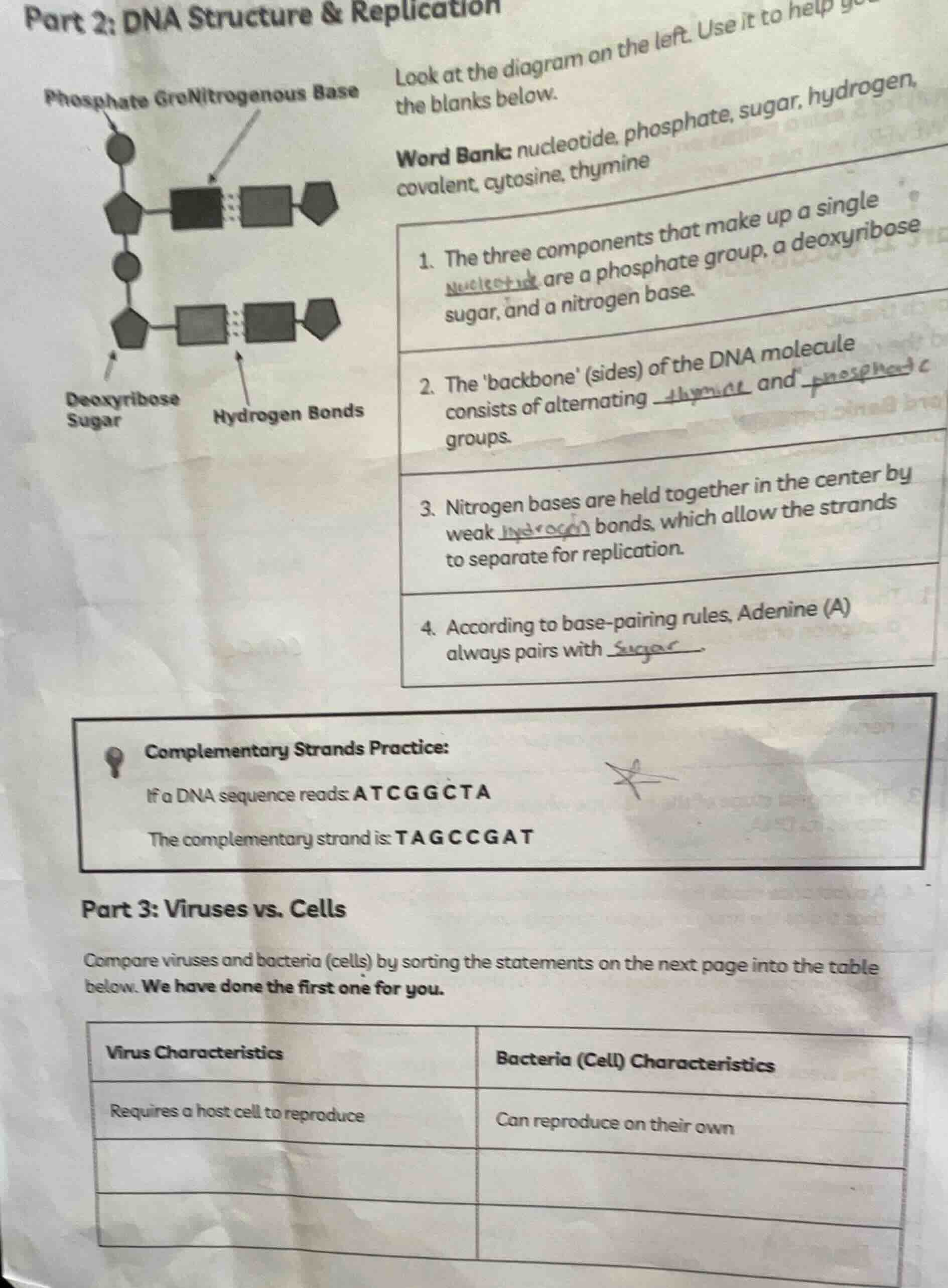part 2: dna structure & replication phosphate gronitrogenous base deoxy…
